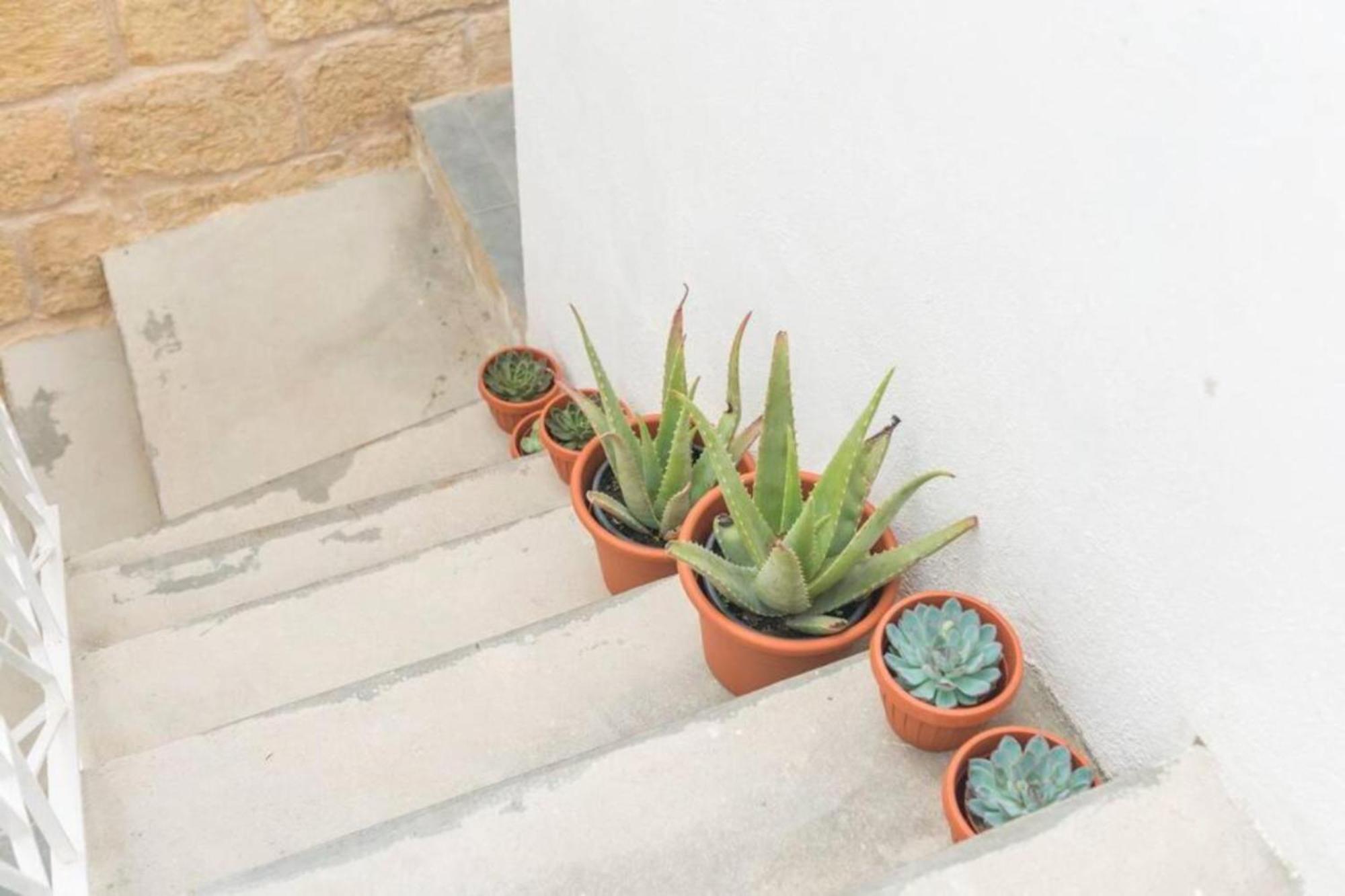 Apartamento Authentic 1st Fl At The 3 Cities Marina Cospicua
